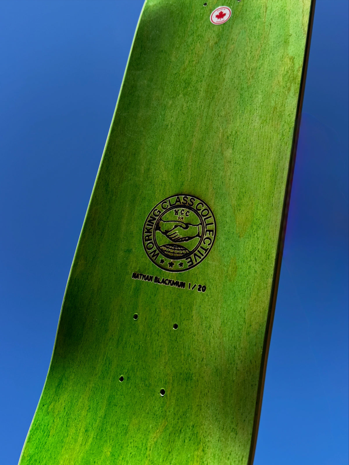 Working Class x Nathan Blackmun Birds Deck - 8.25"