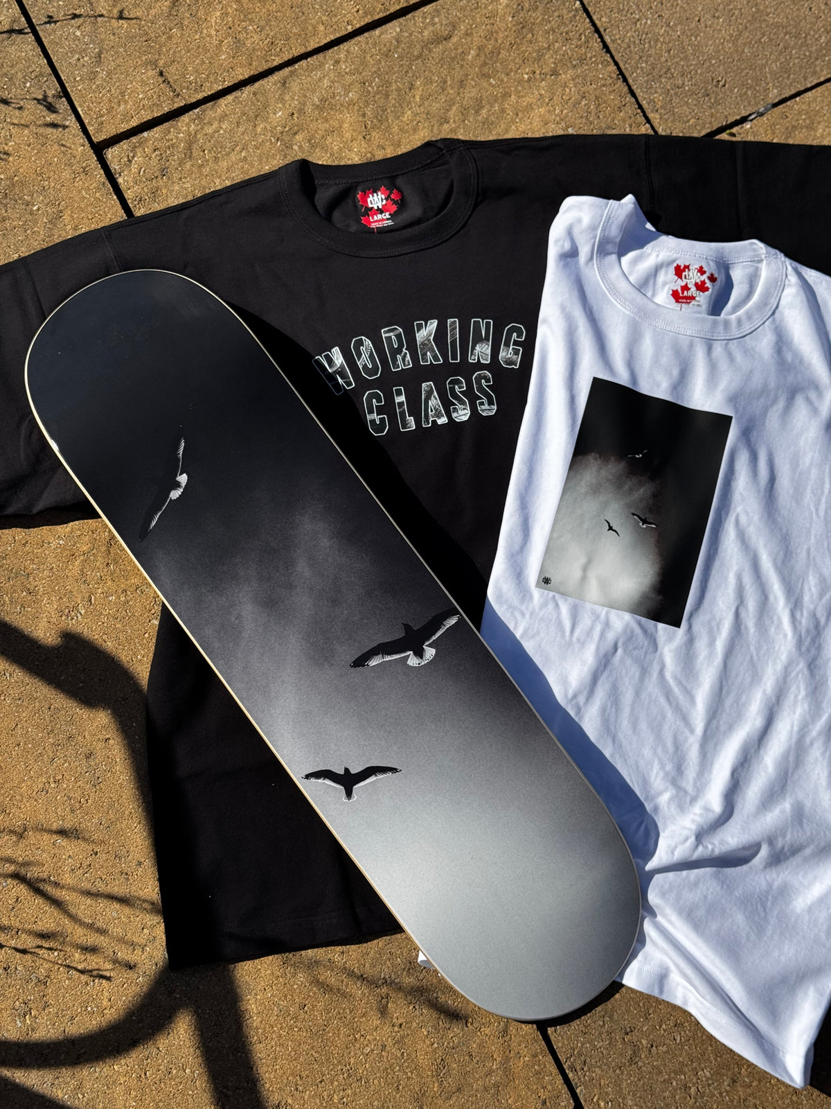 Working Class x Nathan Blackmun Birds Deck - 8.25"