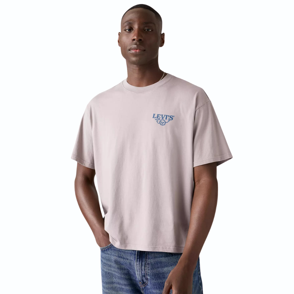 Levi's® Boxy Siesta Sun Cloud T-Shirt - Grey