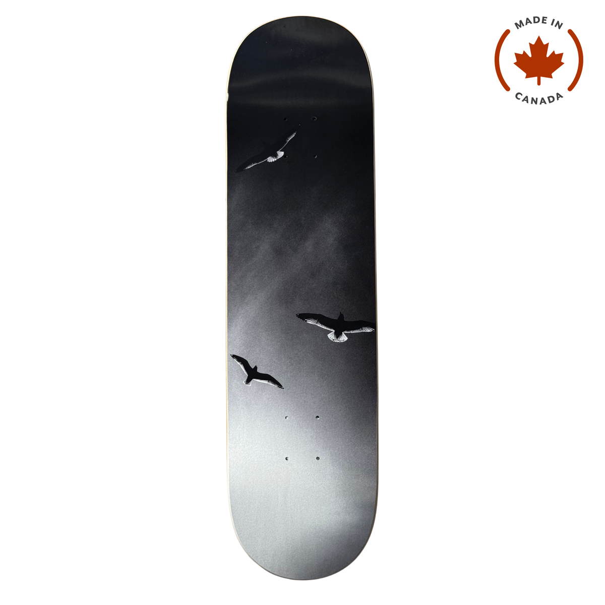 Working Class x Nathan Blackmun Birds Deck - 8.25"