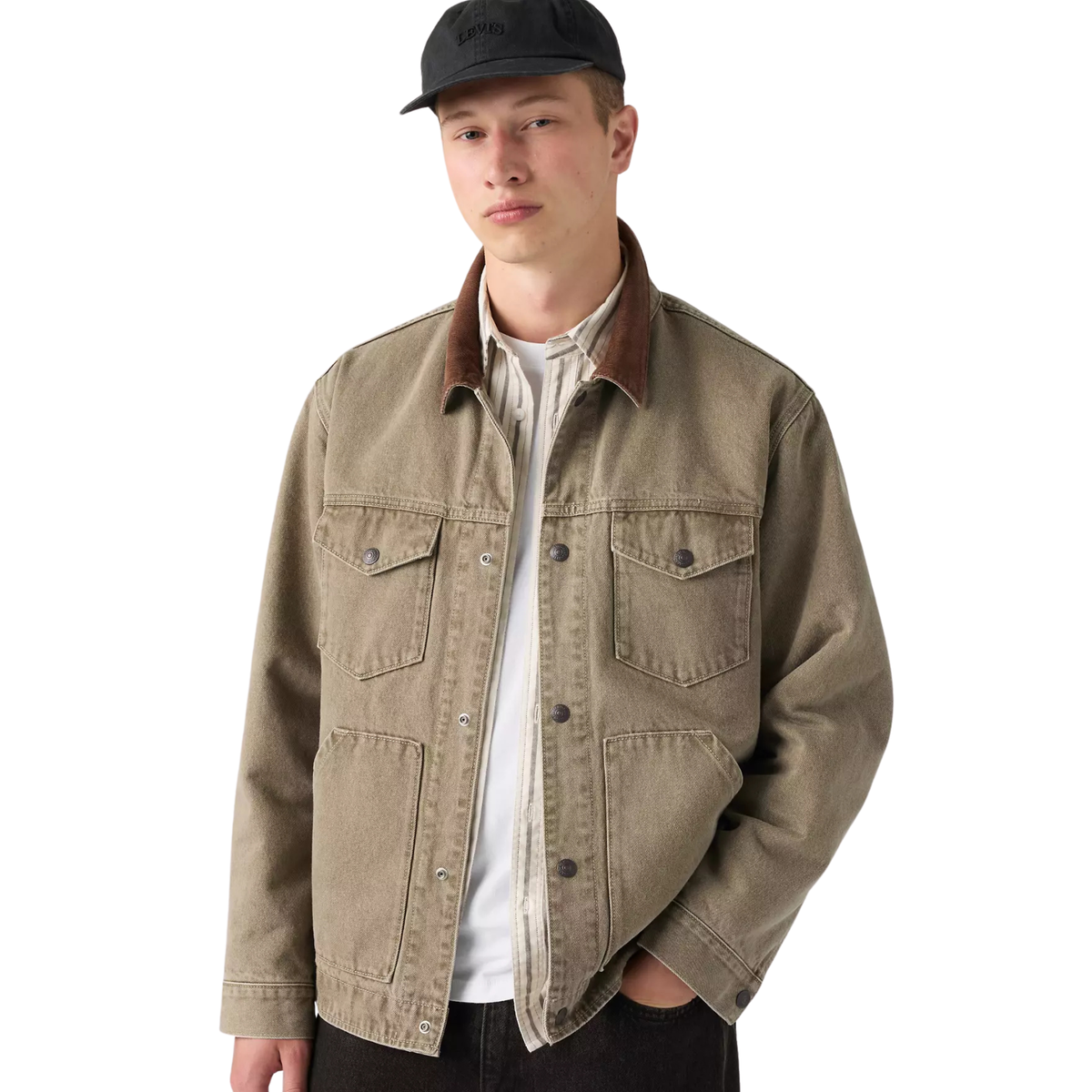 Levi's Monroe Trucker Jacket - Salty Caper