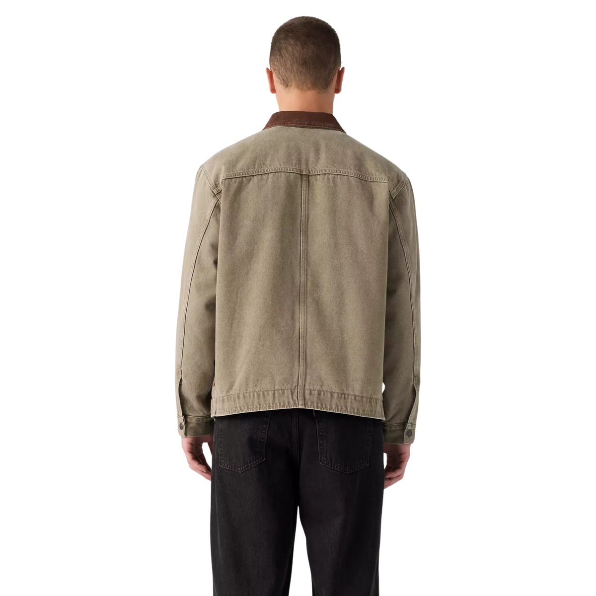 Levi's Monroe Trucker Jacket - Salty Caper
